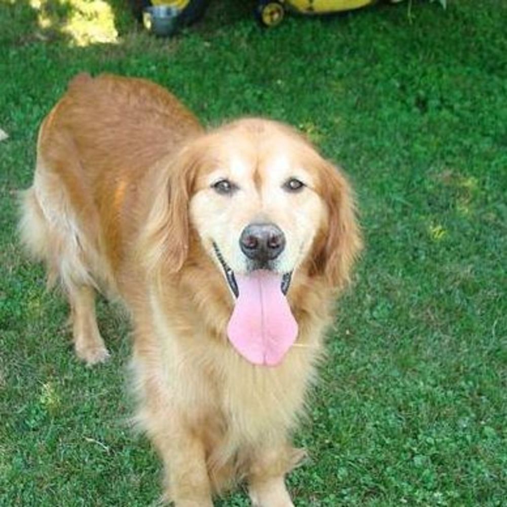 Meet your Posher, Michele